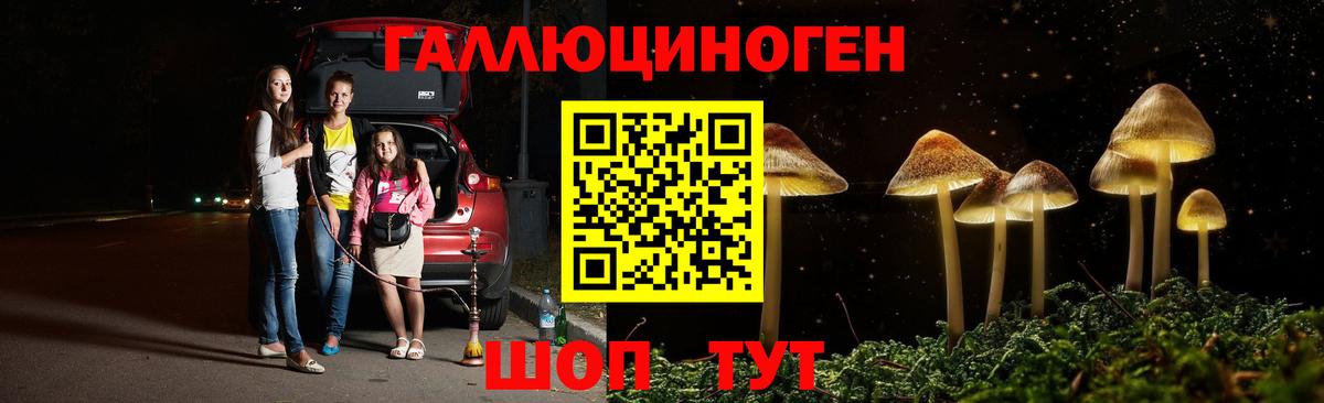 Отрадное  Псилоцибиновые грибы Psilocybine cubensis  Вход с VPN 