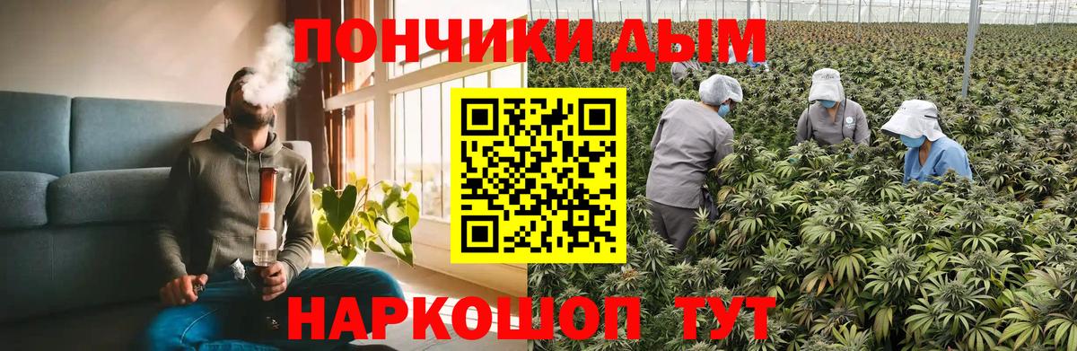 Бошки марихуана Amnesia Отрадное